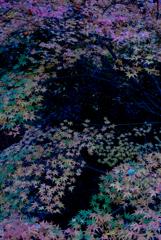 平家物語（未完）
