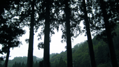 畏敬