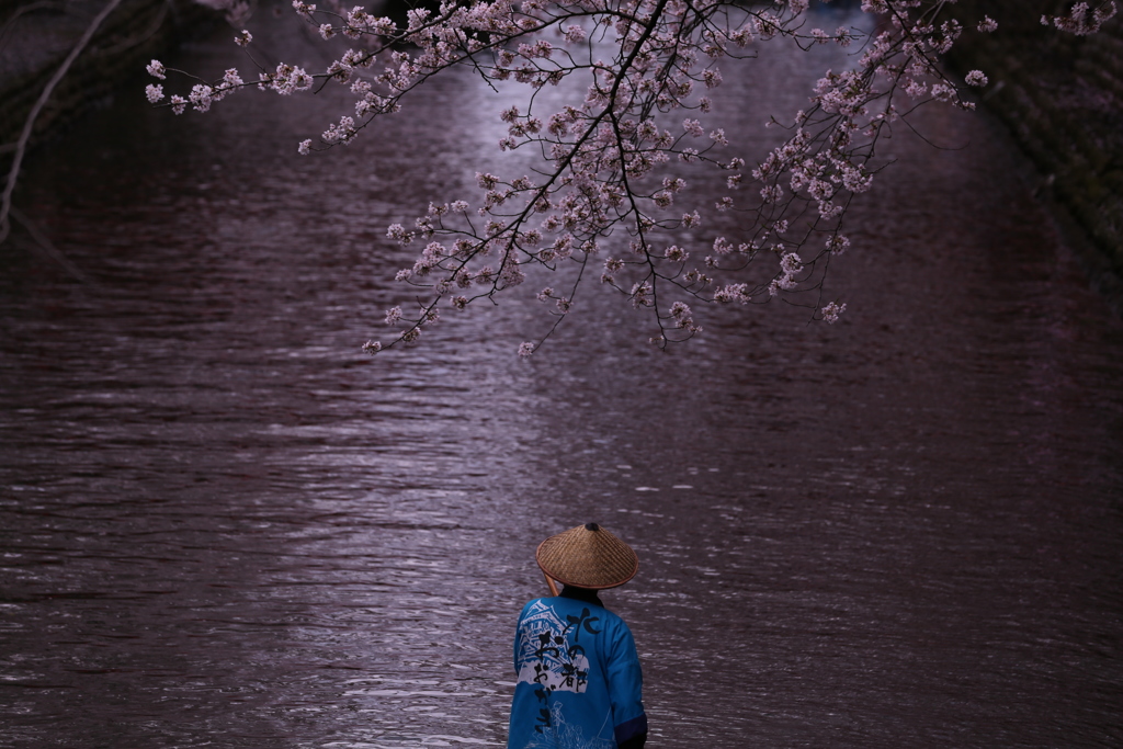 水の都おおがき