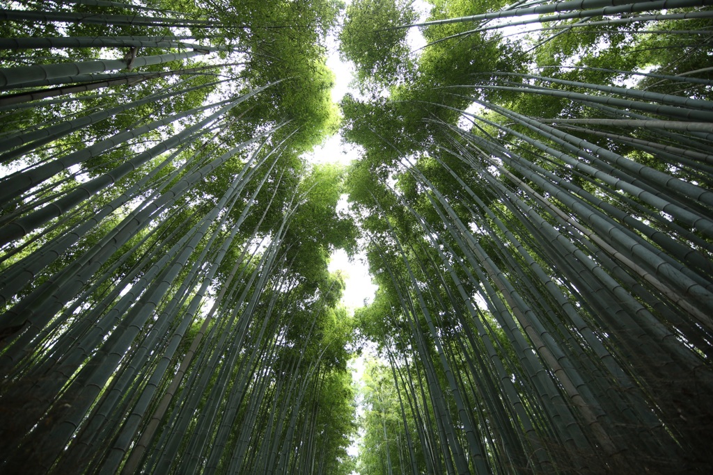 広角ズームの試し撮り
