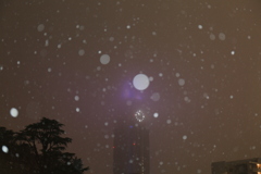 雪降る東京の夜