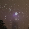 雪降る東京の夜