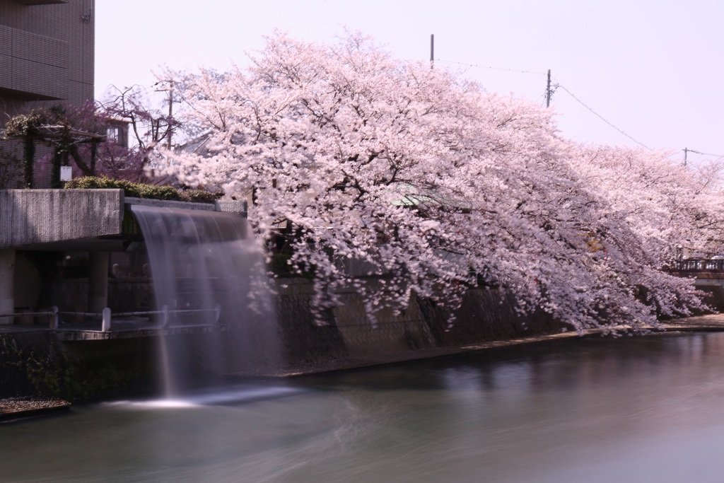 水都