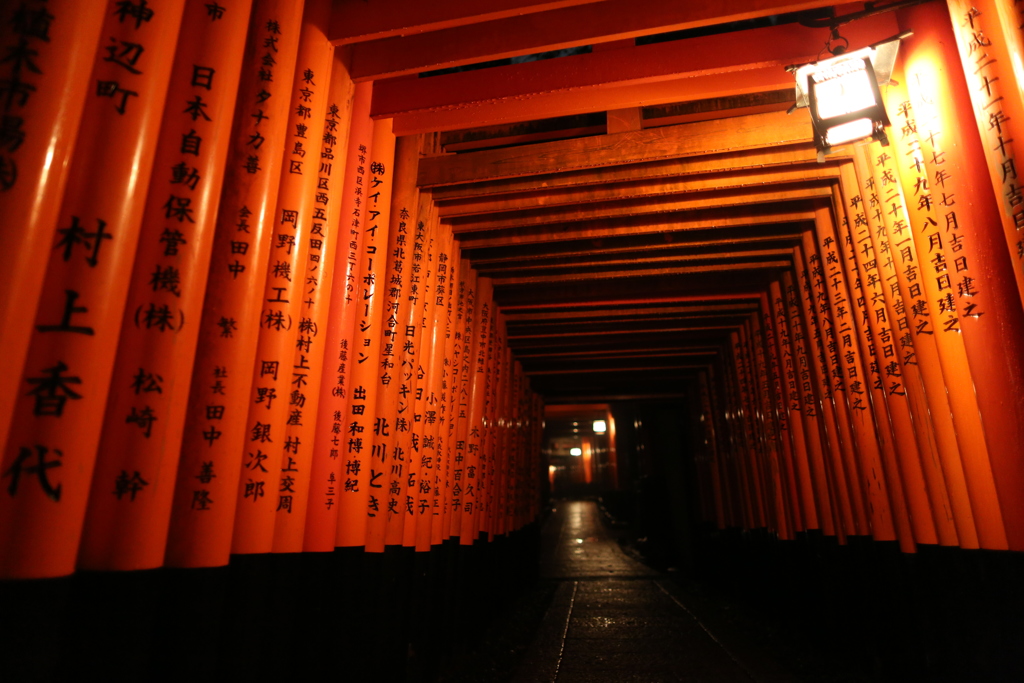 夜明け前の千本鳥居