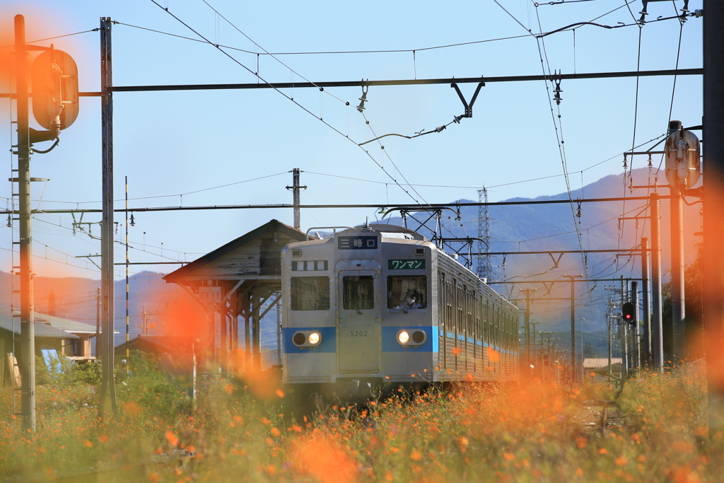 花に囲まれて