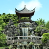 炎天下の癒し
