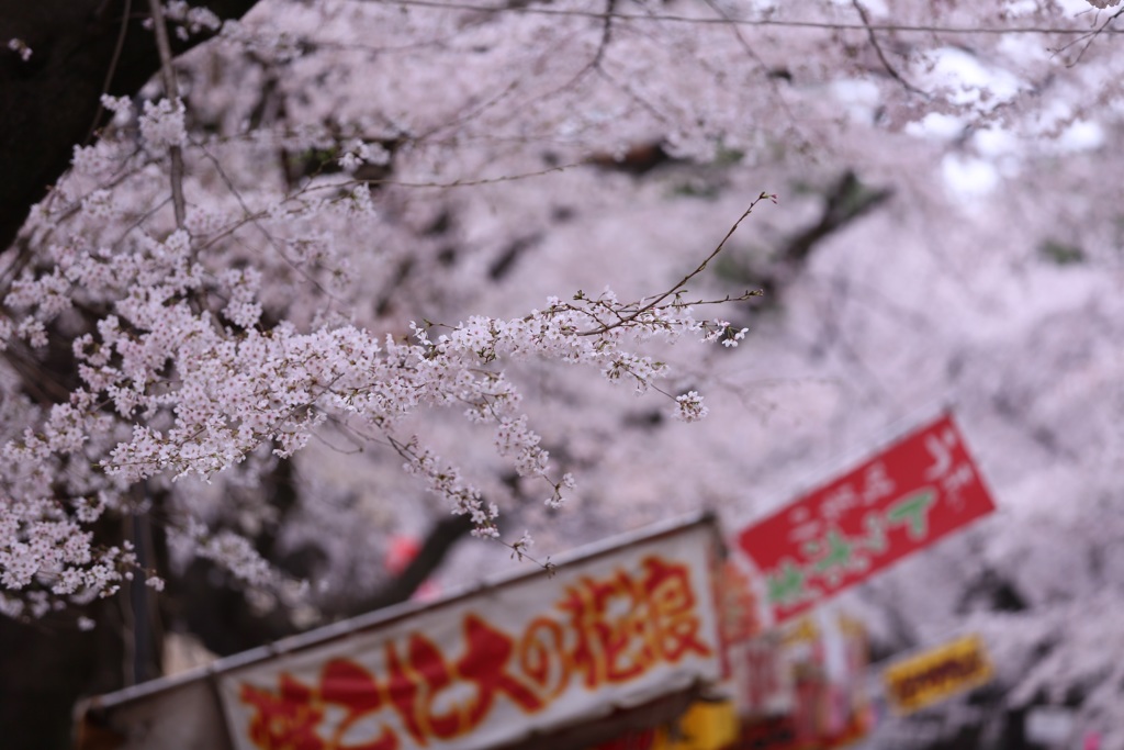 春の匂い