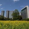 浜離宮恩賜庭園