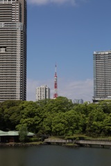 庭園から眺める東京タワー