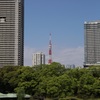 庭園から眺める東京タワー