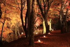 秋の夜長