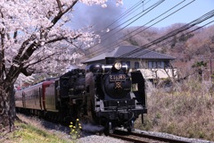 春を駆ける汽車