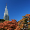 色づく東京