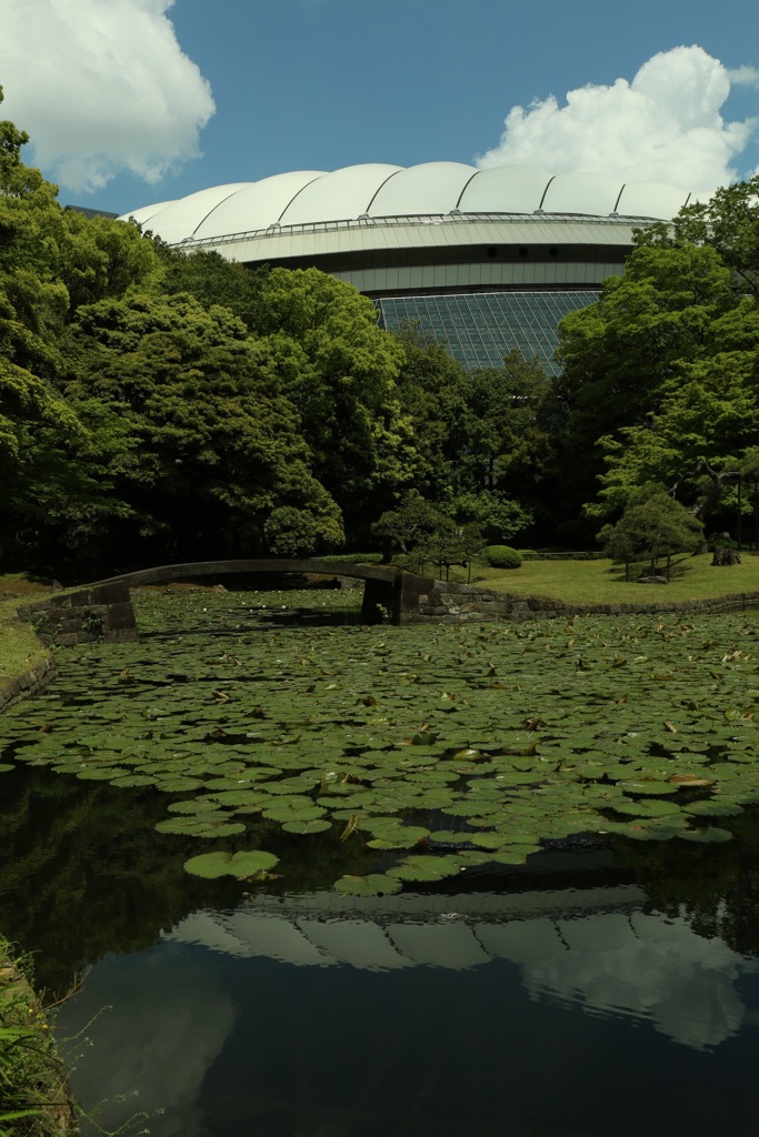 池に映る東京ドーム