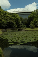 池に映る東京ドーム