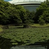 池に映る東京ドーム