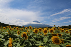 夏の終わり