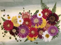 押し花展