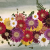 押し花展