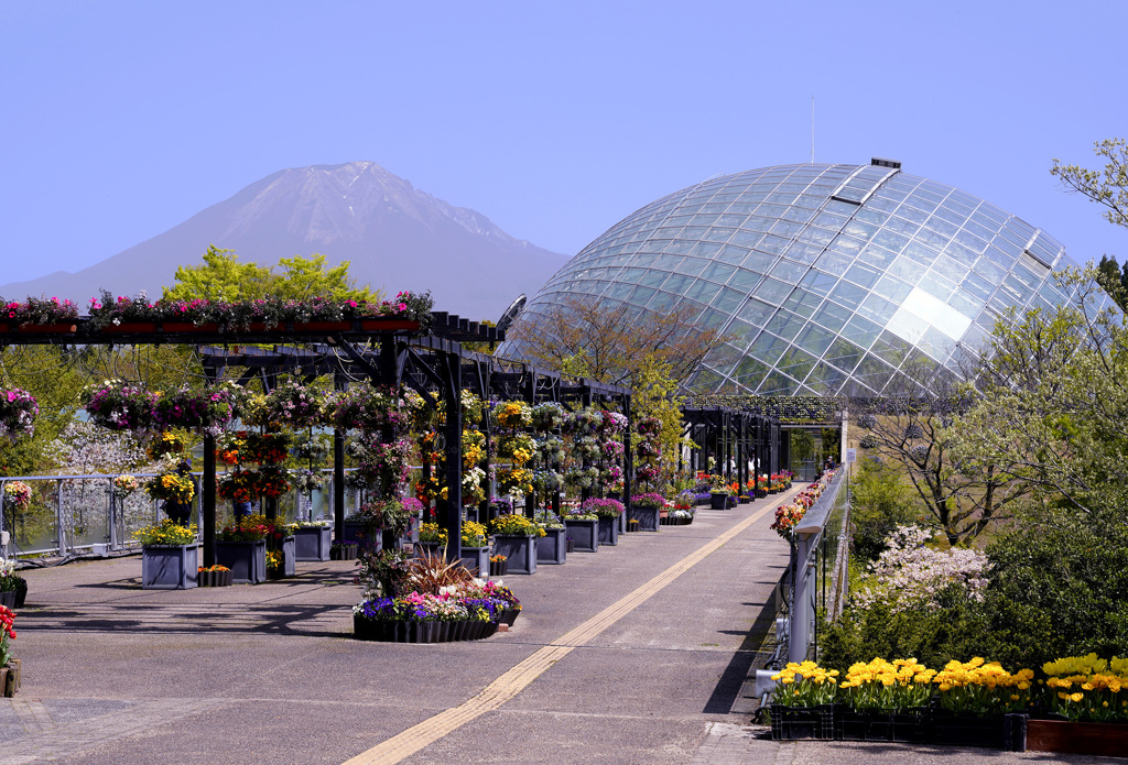 とっとり花回廊