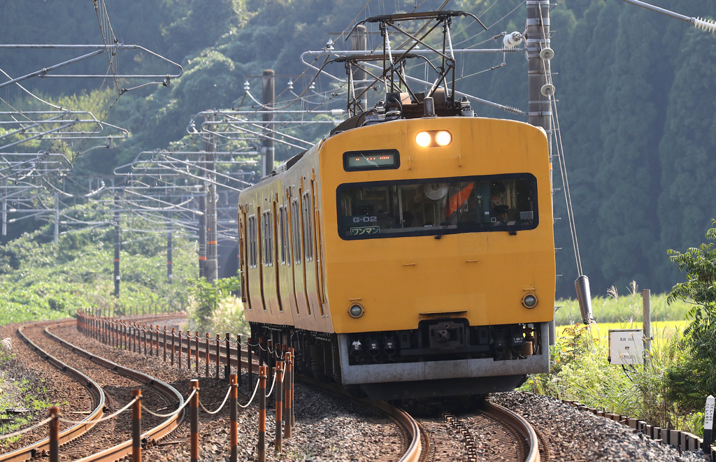 EF100-400LⅡ+EOS-1DXⅡ作例