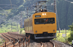 EF100-400LⅡ+EOS-1DXⅡ作例