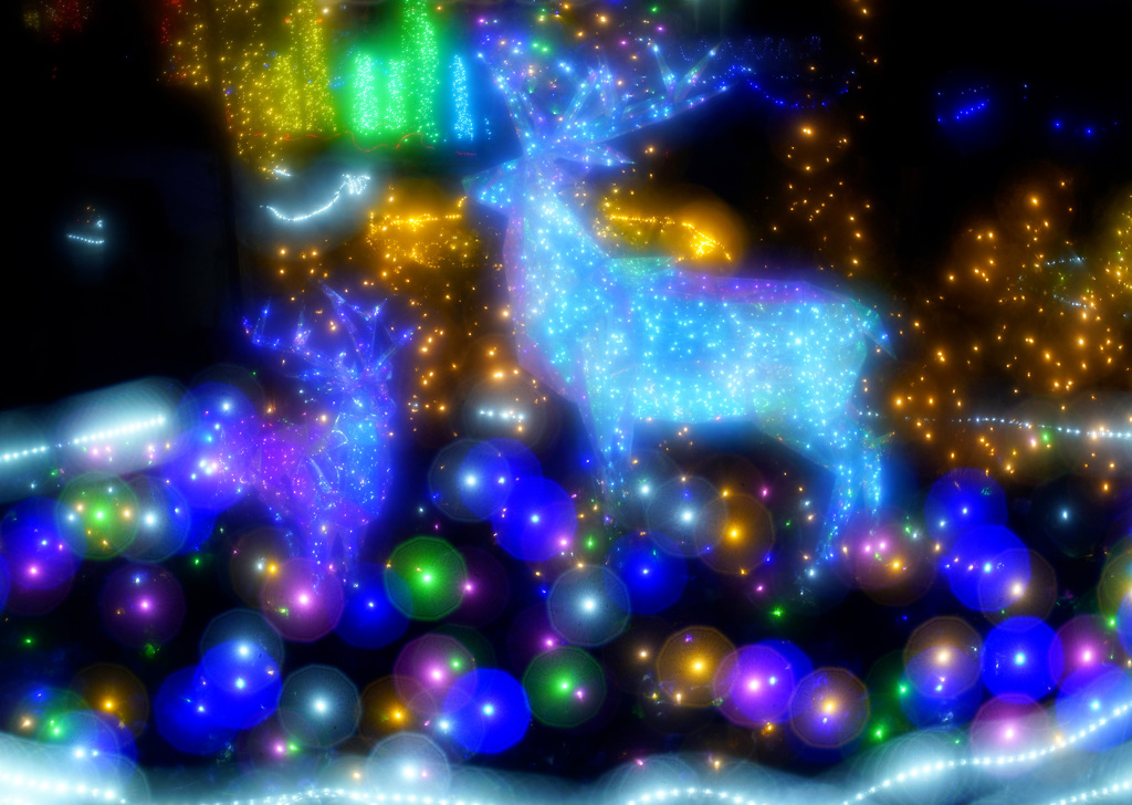 花回廊イルミネーション