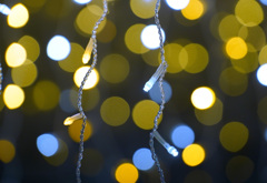 花回廊イルミネーション