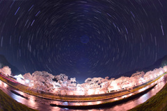 美甘宿場桜と巡る北天の星