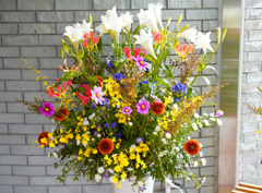 とっとり花回廊