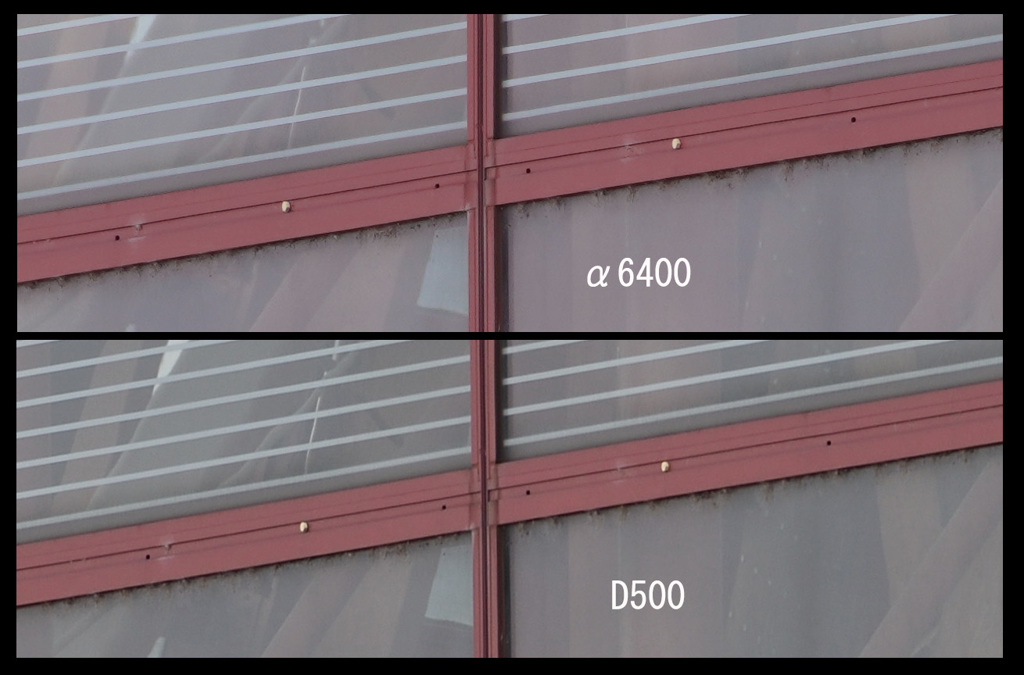 α6400とD500 解像度比較
