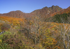 紅葉の裏大山