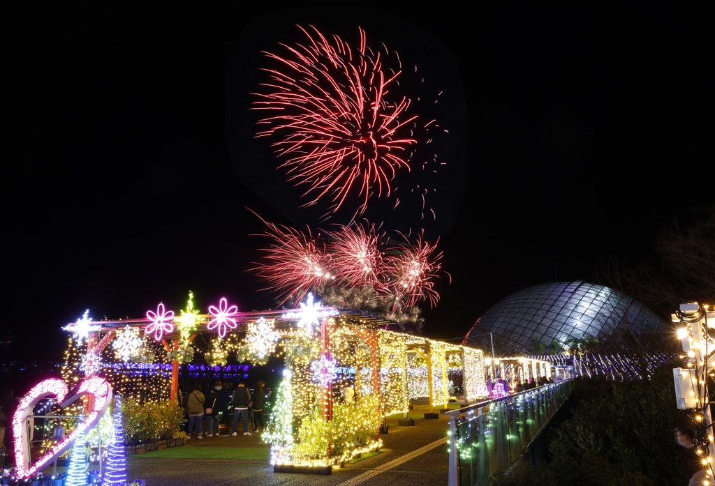 フラワーイルミネーション2025