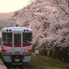 大岩駅の桜と特急はまかぜ
