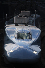 さくら554号