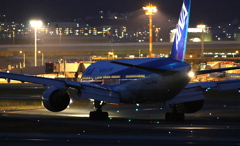 Night Arrival