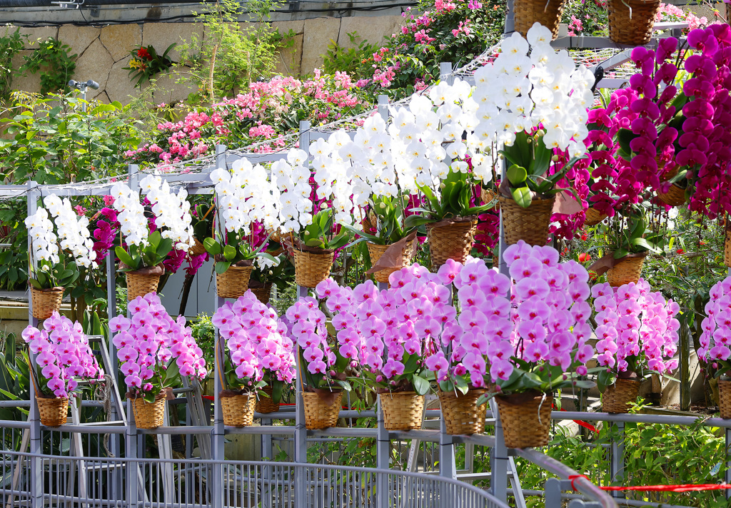 とっとり花回廊