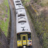 コナン列車イエロー