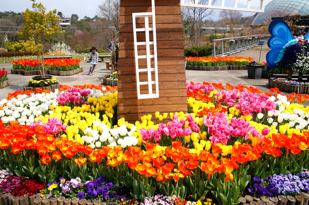とっとり花回廊