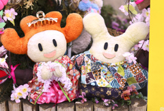 とっとり花回廊25周年