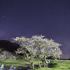 大山桝水高原の夜