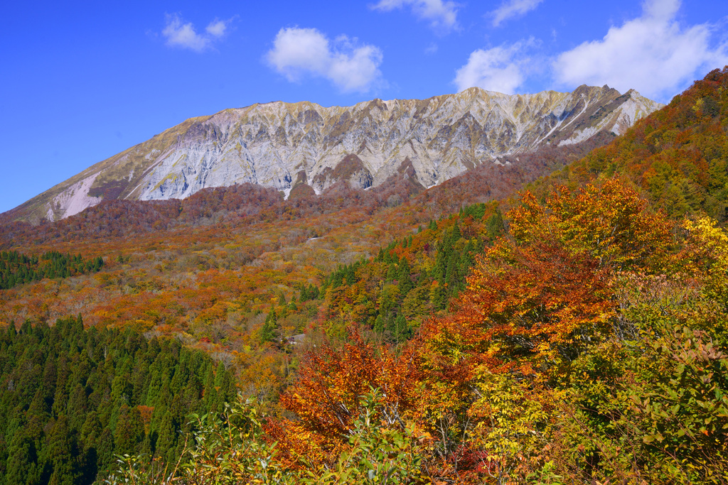 大山鍵掛峠紅葉