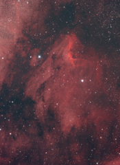 ペリカン星雲