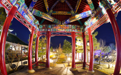 燕趙園 上昇輝龍2025