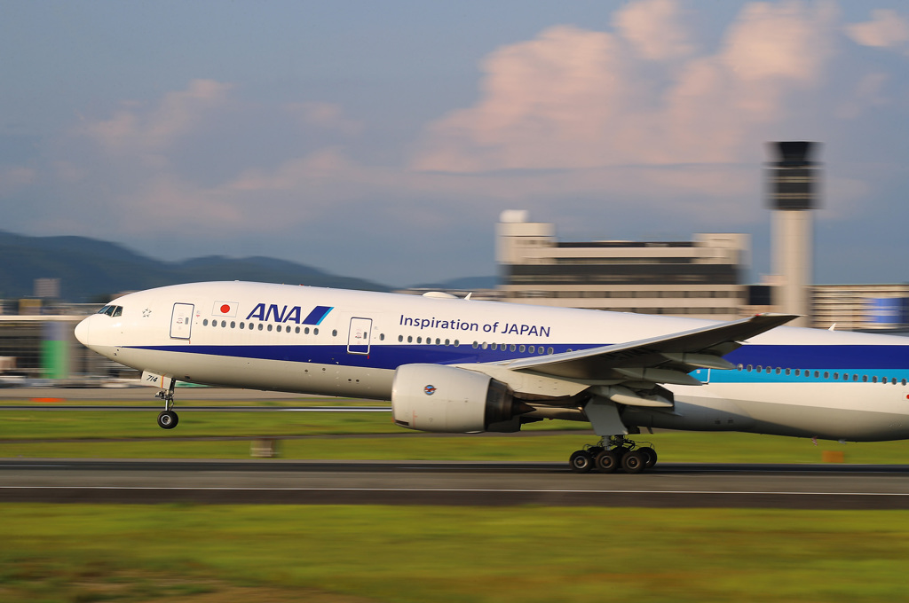 シグマArt135mmF1.8テスト