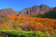 紅葉の裏大山