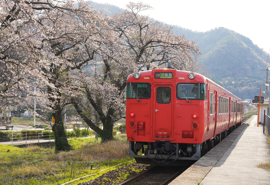 桜の大岩駅