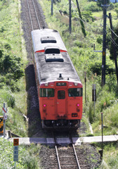 キハ47タラコ キハ47タラコ