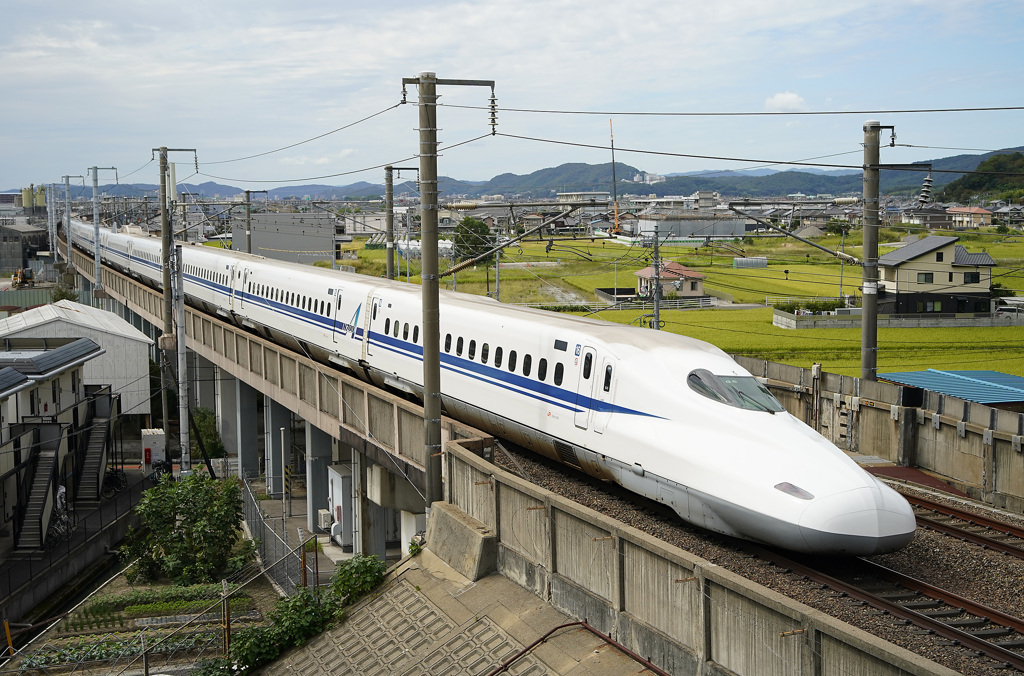 のぞみ