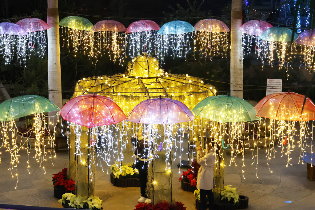 フラワーイルミネーション2025